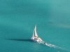 Sail Ningaloo - Three night Snorkel & Dive
